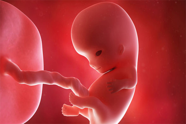 Fetal Gelişme Geriliği